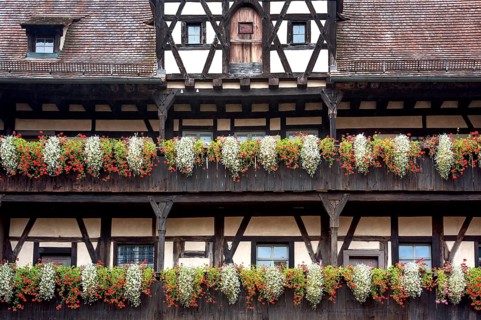 Floral decoration on pergolas at Alte Hofhaltung or Old Court