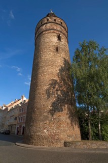 Nikolai Tower