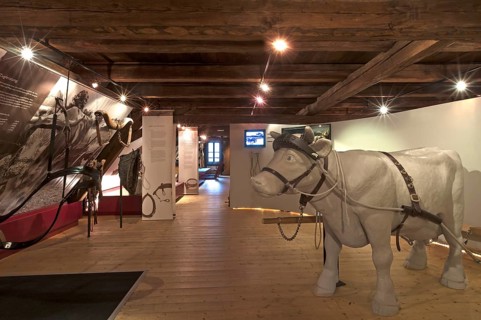 Permanent exhibition rooms