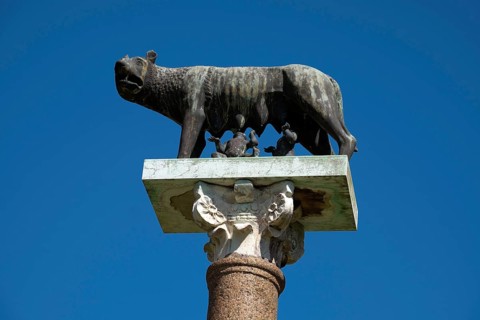 Column with sculptures of Remus