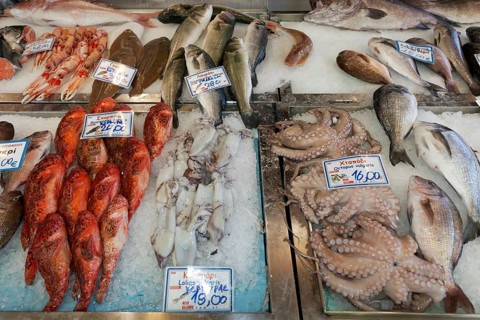 Various fish and seafood at the fish market