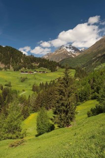 Mountain landscape with farmhouses
