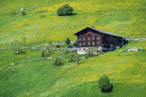 Farmhouse and spring meadow