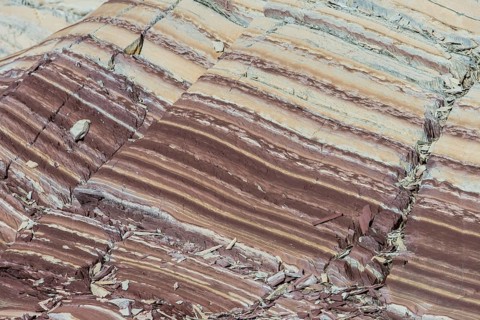 Limestone coloured red by iron and whitish-yellow dolomite