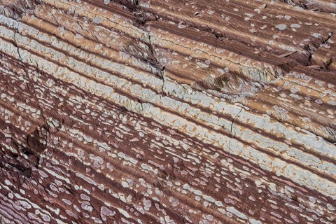 Limestone coloured red by iron and whitish-yellow dolomite