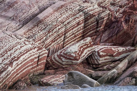 Limestone coloured red by iron and whitish-yellow dolomite