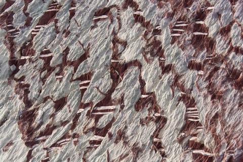 Limestone coloured red by iron and whitish-yellow dolomite