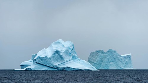 Icebergs floating in the water
