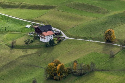 Farmyard