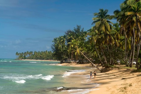 Sandy beach with palm trees in Las Terrenas