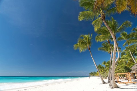 Dream beach