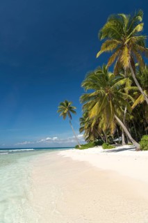 Dream beach