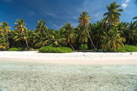 Dream beach