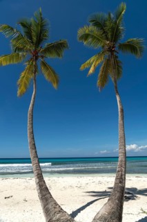 Dream beach