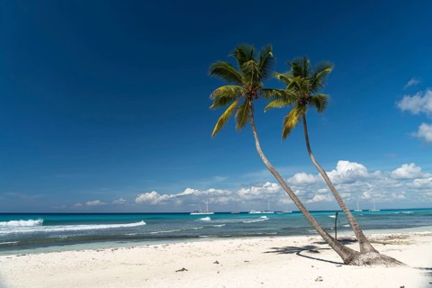 Dream beach