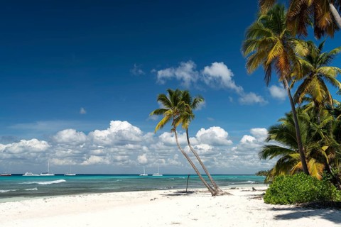 Dream beach