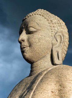 Buddha statue at Ruwanwelisaya or Ruwanweli Maha Seya Stupa
