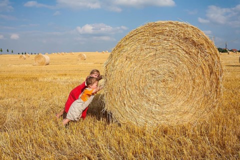 Little girl and boy trying to move away a straw bale on a stubble field
