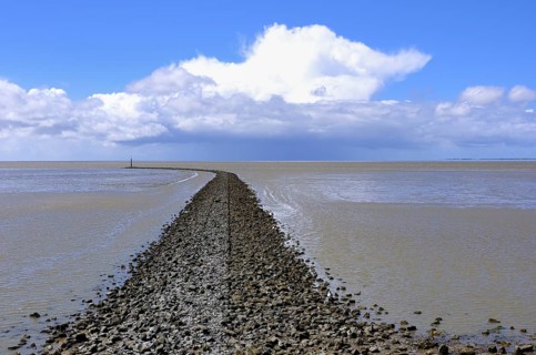 Stone groynes for coastal protection