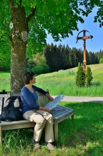 Woman sitting on bench under a tree