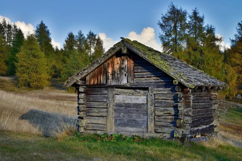 Shed