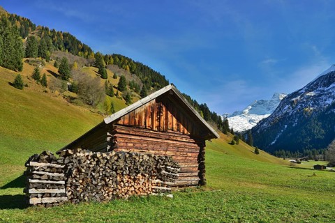 Shed