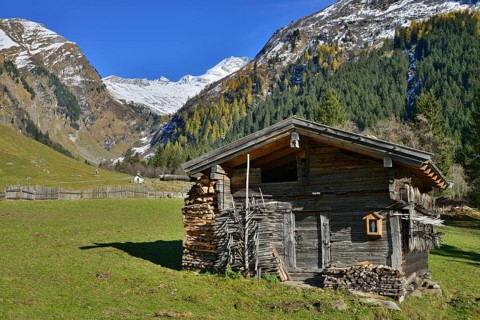 Shed