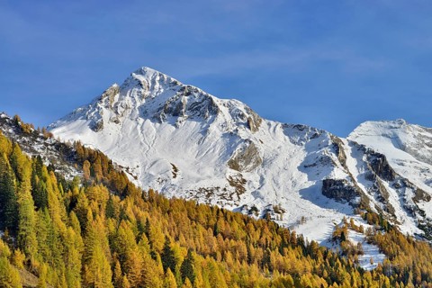 Schoberspitzen and Olperer from Toldern Ausblick