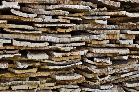 Stacked cork bark of cork oak (Quercus suber)