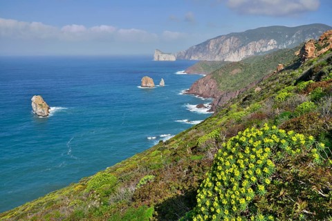 Coastline