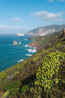 Coastline