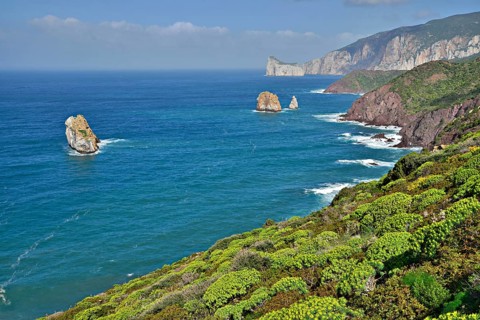 Coastline