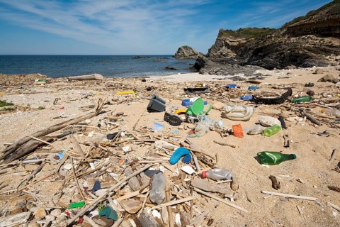 Garbage on the beach