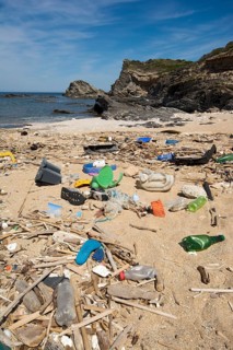 Garbage on the beach