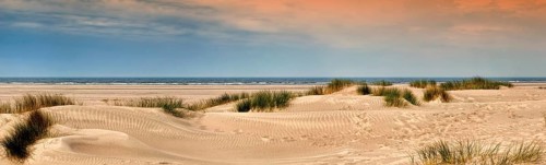 Sandy beach with dune grass