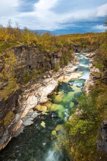 Autumn in Abisko canyon
