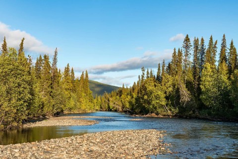 River landscape