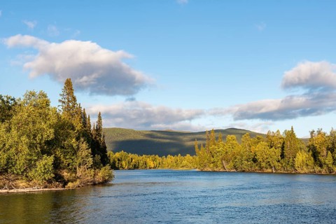River landscape