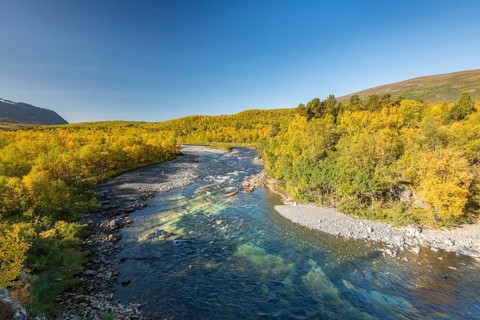 Abiskojokk river in autumnal landscape
