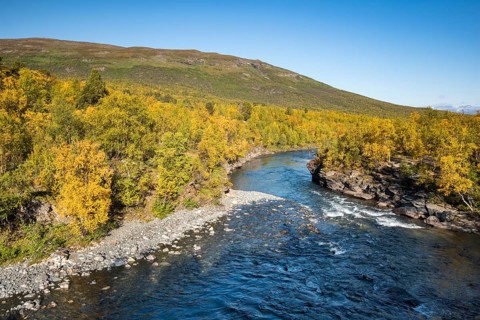 Abiskojokk river in autumnal landscape