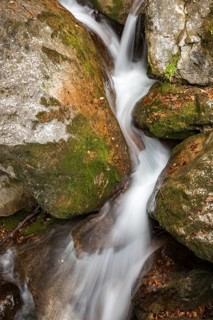 Myra Falls