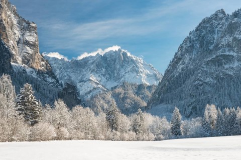 Winter landscape