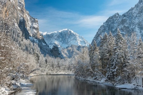 Winter landscape
