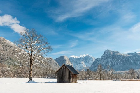 Barn