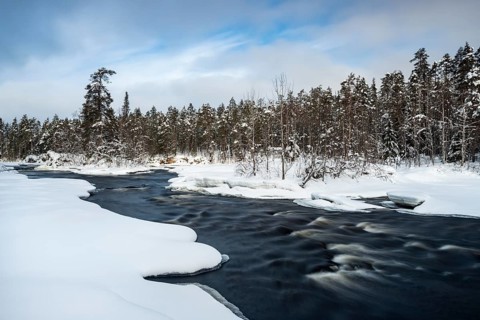 Winter landscape by Oulankajoki river