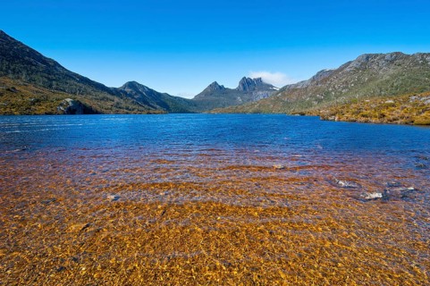 Dove Lake and Cradle Mountain