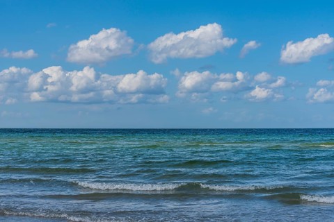 Waves on coast