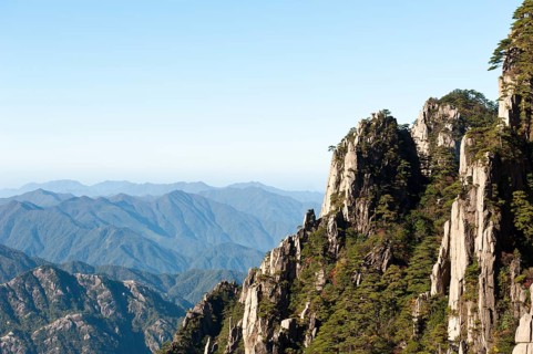 Towering granite rocks overgrown with Huangshan pines (Pinus hwangshanensis)