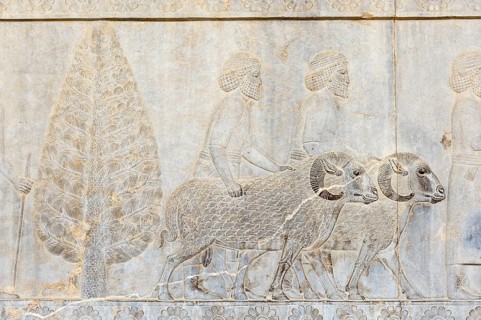 Ancient relief of the Achaemenids