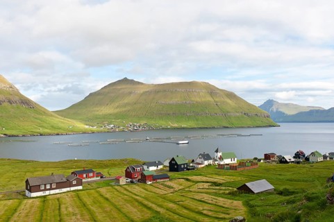 Village with meadows along the fjord